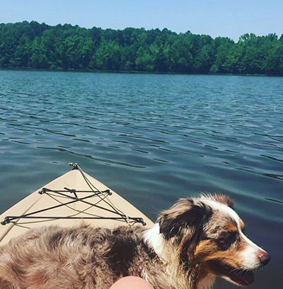 A Dog Loving the Private Lakefront Property in Clarksville, VA