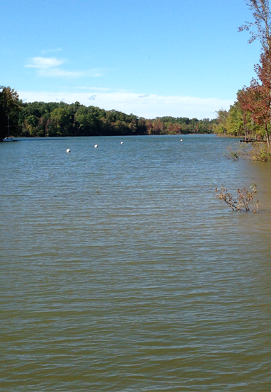 A Sunny Day Around the Kerr Lake Property in Clarksville, VA