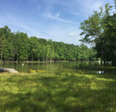 Grassy Field Near the Lake