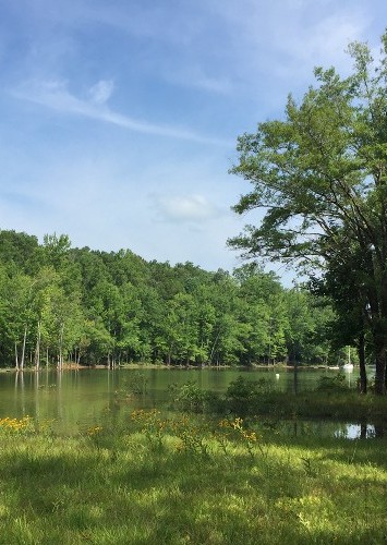 View Near Our Kerr Lake Lakefront Property in Clarksville, VA