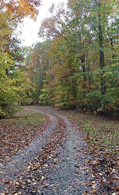 Visit an Island Creek Lakefront Property in Clarksville, VA Visit an Island Creek Lakefront Property in Clarksville, VA