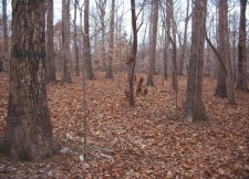Kerr Lake Acreage